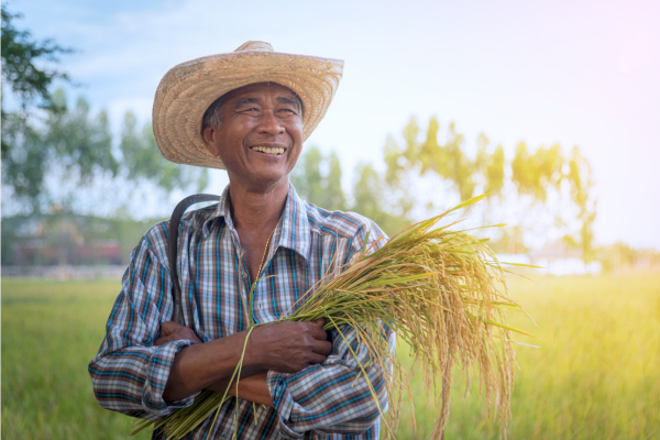 Happy farmer holding harvested crops